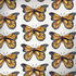 Cat Coq Monarch Butterflies Surface Book 2 13.5in Skin